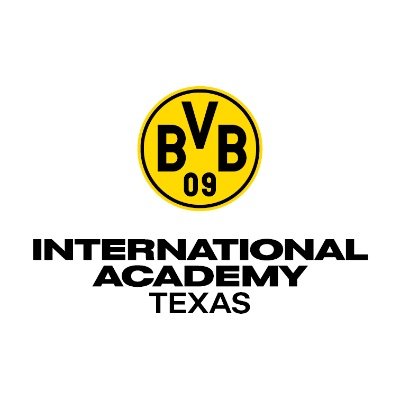 BVB International Academy – San Antonio logo