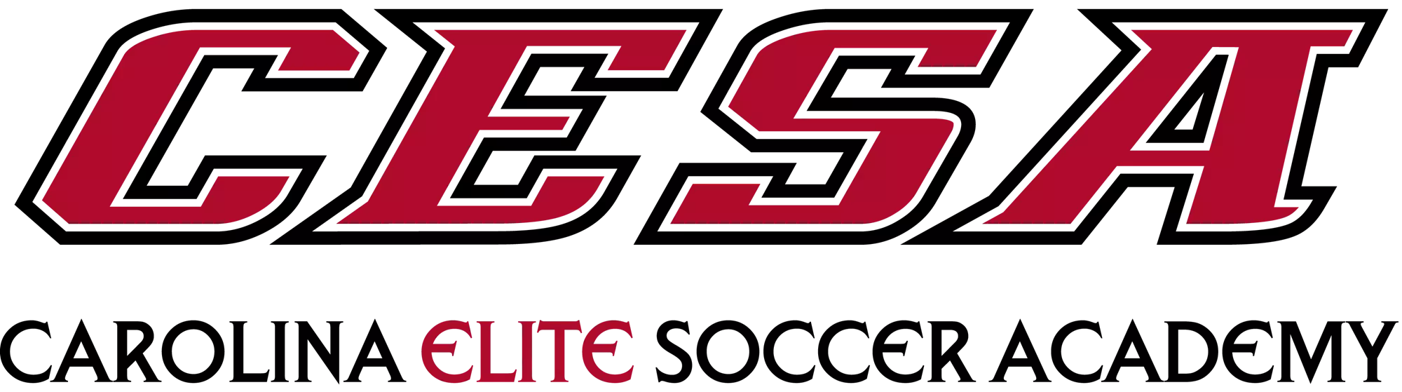 Carolina Elite Soccer Academy logo