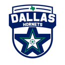 Dallas Hornets logo