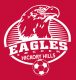 Football Club Hickory Hills logo