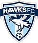 Florida Hawks Futbol Club logo