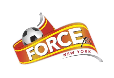 Force FC logo