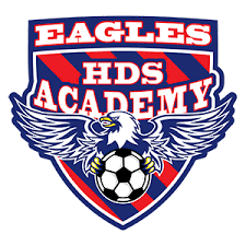 HDS Eagles Academy logo