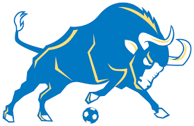 IDEA Toros Futbol Academy logo