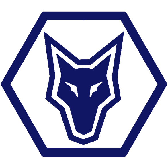 Metro West Soccer Club logo