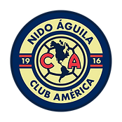 Nido Aguila Soccer School Dallas logo