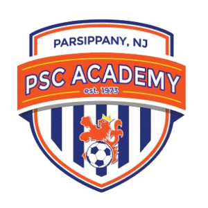 PSC Academy logo