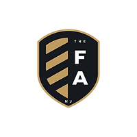 The Football Academy logo