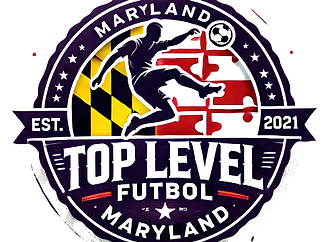 Top Level Futbol logo