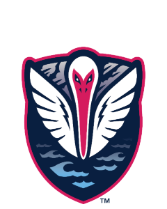 Tormenta FC Academy logo